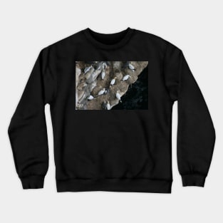 Nests Crewneck Sweatshirt